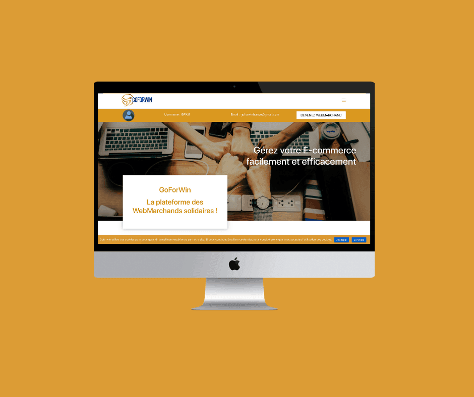 GoForWin – 2018
